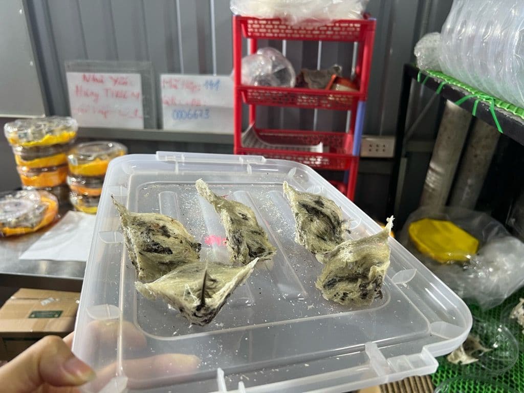 Thùng 141