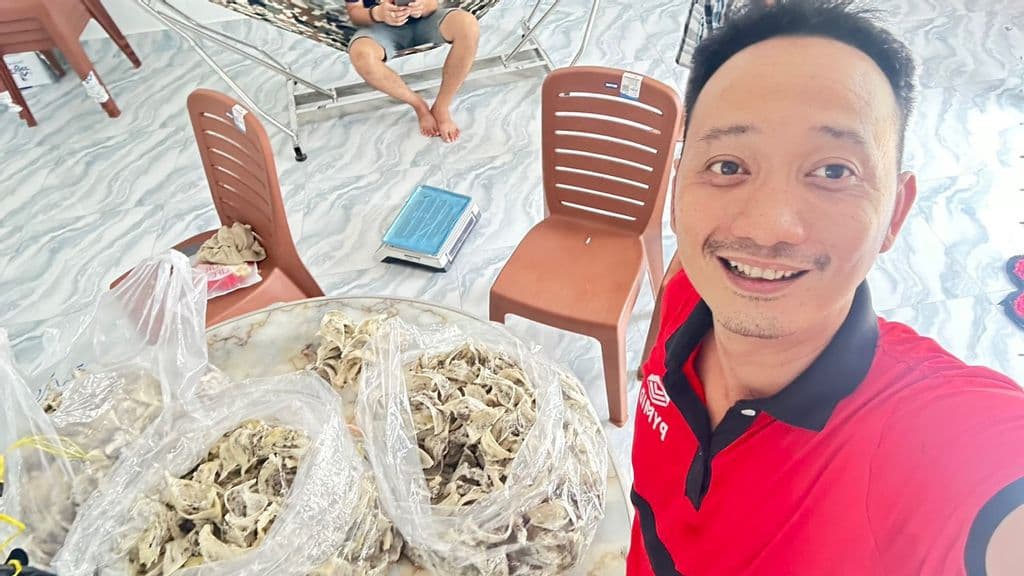 Vào ngày 29-11 bảo dưỡng - hái tổ và vệ sinh - 1
