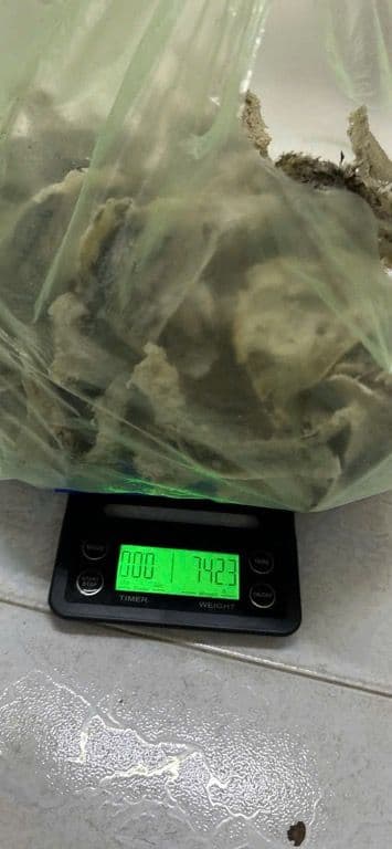 Trần Kỳ thu tổ dọn phâ xịt mạt - 3