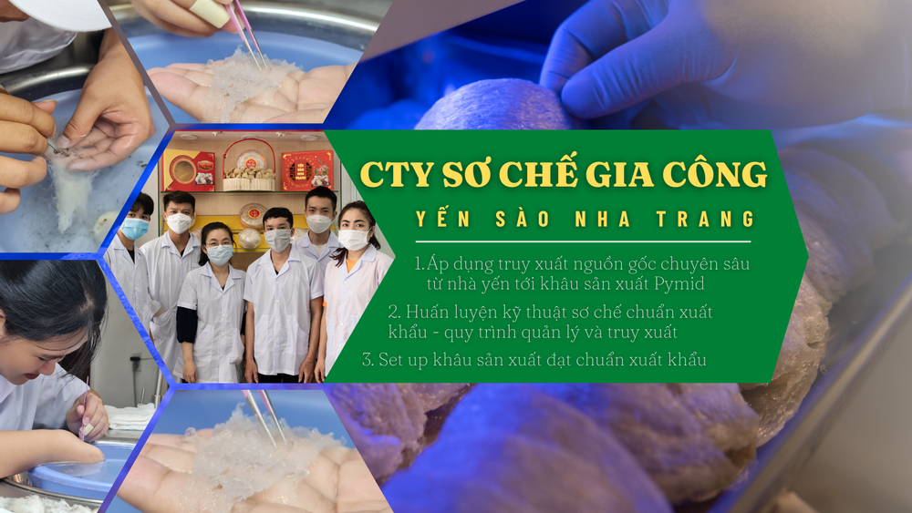 Cty gia công Hiến Nháy - Nha Trang