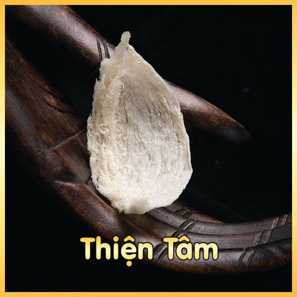 Thiện Nguyện Pymid
